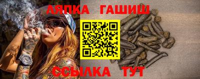 молекула духа Будённовск
