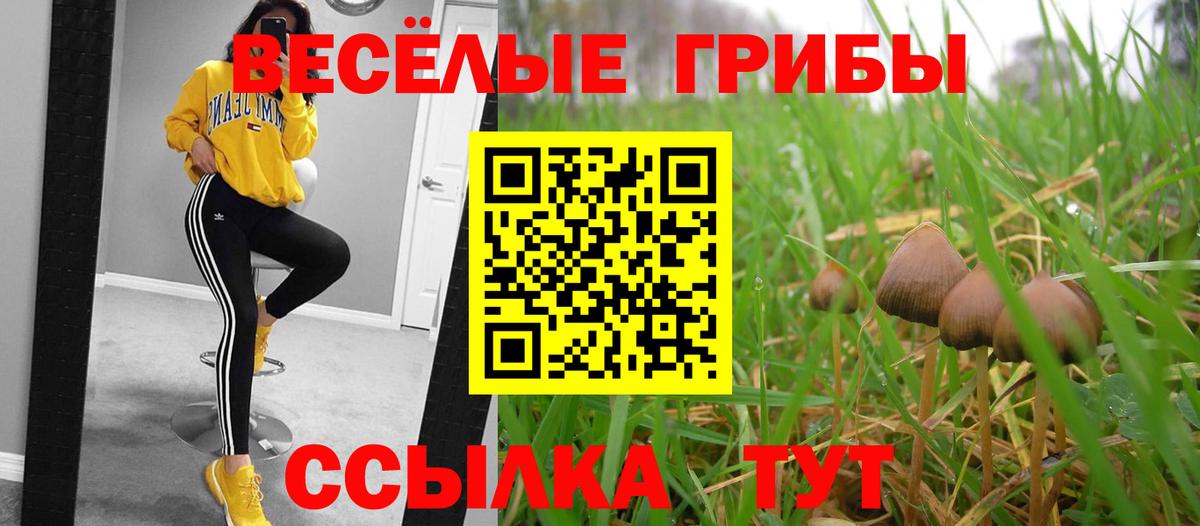 Галлюциногенные грибы прущие грибы Железноводск